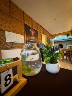 Island Vibes Hostel - 0
