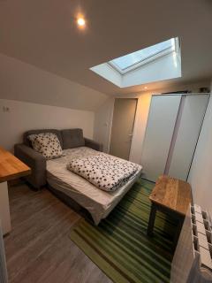 Joli duplex - Colombes - 6