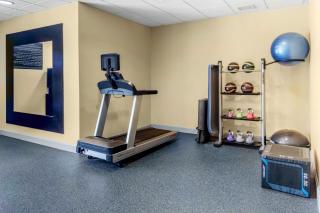 Hilton Garden Inn Sarasota-Bradenton Airport - Sarasota - 5