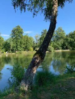 Cabane insolite - Saint-Victor-de-Morestel - 3