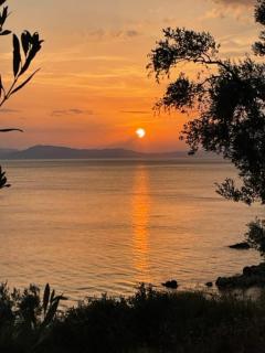 Olive Grove House - Argalasti - 8
