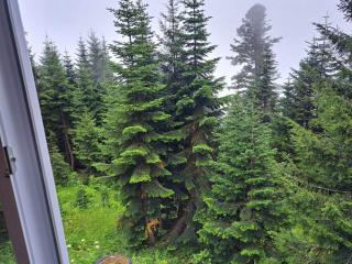 Panorama Gomismta - 7