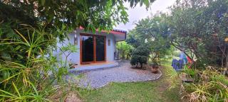 Samui Blue Bird - 9