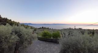 Olive Grove House - Argalasti - 5