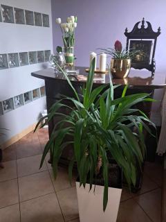 Cottage Room- Agroturystyka - Strzegowo-Osada - 5