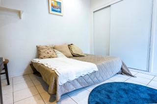Joli Studio Joinville bord de marne 15m de Paris - Joinville-le-Pont - 3