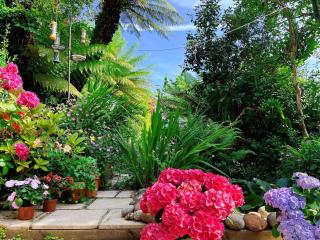 Funky Urban Jungle - 5