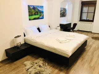 Joy City Stay Spacious - Braşov - 3