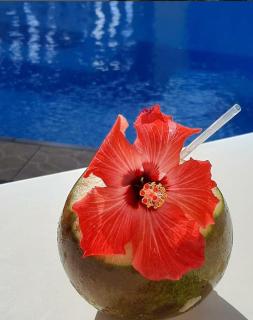 Pousada Florais do Atlântico - 4