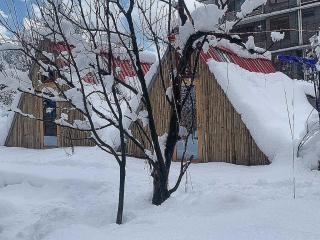 Hotel O MANALI CAMP - Manāli - 1