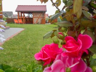 Apartamenty Chata Jana - Łeba - 6