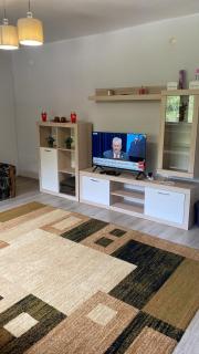 Big Villa for a familly!! - Hadžići - 5