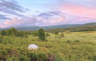 Cozy Home In Gol With Sauna - Golsfjellet - 2