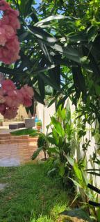 Beautiful Family Villa with private swimming pool - Martil - 5