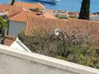 Vesna Panoramic Sea View Apartments - Supetar - 6