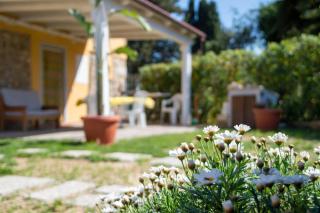 Casa Il Poggio 8min dal mare - Castelnuovo della Misericordia - 0