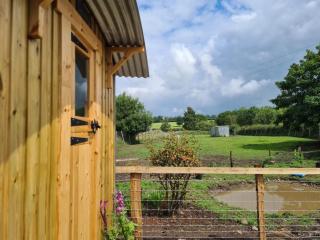 Poachers Keep, Shepherds Hut - Endon - 5