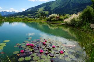 Boutique Hotel Herzhof - Garni-Appartements - Adults Only - Riezlern - 8