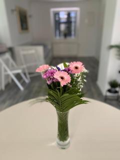 Apartma Mimi - Bohinj - 1