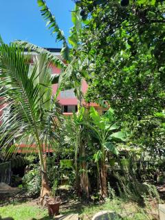 Casa Petros Juan Viñas - Cartago - 1