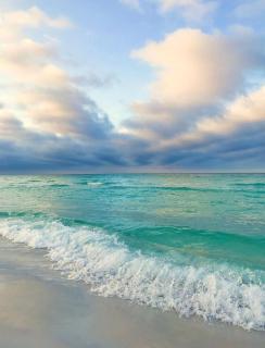 Coastal Modern Beach Home Minutes from Beach - Santa Rosa Beach - 8