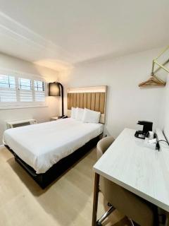Nob Hill Motor Inn -Newly Updated Rooms! - San Francisco - 7