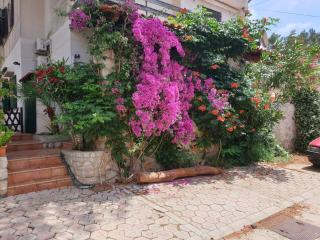 Studio apartment in Mali Losinj with terrace, air conditioning, WiFi, washing machine 4913-2 - Mali Lošinj - 2