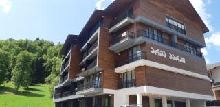 Area Park-Forest Stay Bakuriani - Bakuriani - 0
