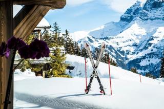 Big luxury Chalet with amazing view - Les Crosets - 6