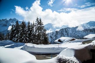 Big luxury Chalet with amazing view - Les Crosets - 9