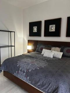 Casa residencial León - San Isidro de los López - 9