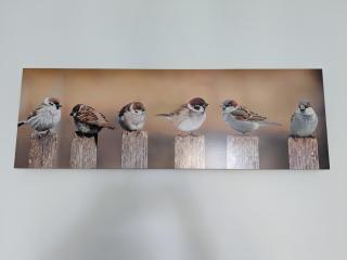 Les Jolis Nids - Studio Moineau - La Roche-Posay - 6