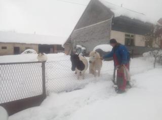 Kuća na selu - - 2