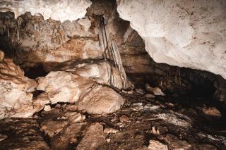 Xcaret Monkeys and Nature Stay - Playa del Carmen - 8
