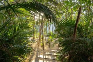 New 2 Bed Bath - Tulum - Tulum - 7