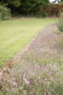 LakEscape - Waterfront Self- Catering Cabins - 2