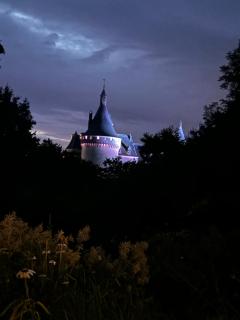 Choupy’Cosy - Blois - 6