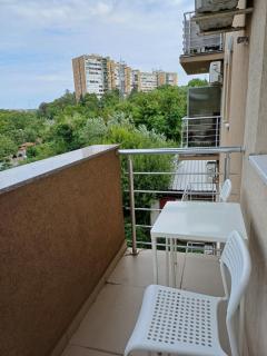 Completely new one bedroom apartment - 2