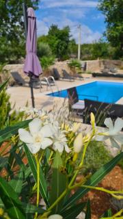 Villa Sidro Krk - 8