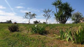 Finca la Carb0nera - 8