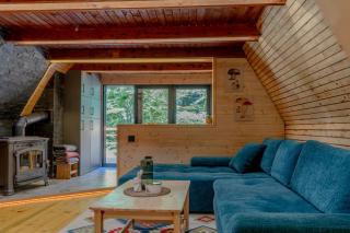 Viktorija chalet - Kopaonik - 5