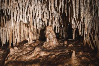 Xcaret Oasis Private Cave for 3 - Playa del Carmen - 9