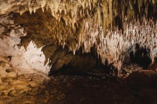 Xcaret Oasis Private Cave for 3 - Playa del Carmen - 8