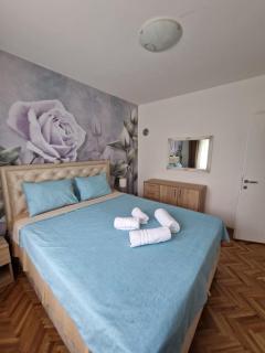 Apartment Holiday - Vrnjačka Banja - 4