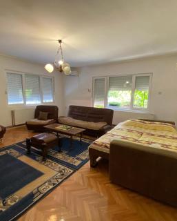 Apartmani,,Drljaca,, - Soko Banja - 2