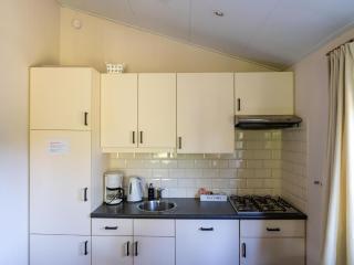 Holiday home in Voorthuizen - Voorthuizen - 1