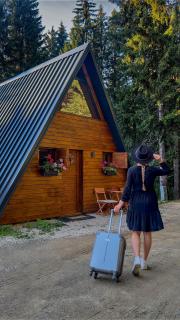 Viktorija chalet - Kopaonik - 7
