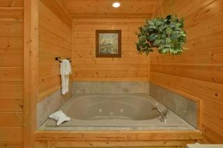 Paradise View (#24) Holiday home - Sevierville - 2