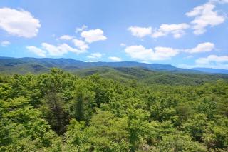 Wine Down Holiday home - Gatlinburg - 9