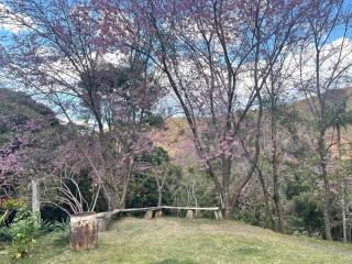 Refúgio Boa Vista - 4